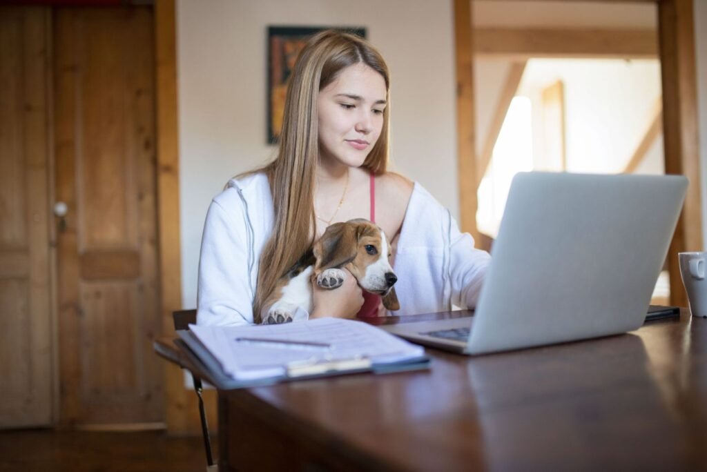 Tierversicherung Schweiz: junge Frau mit Beagle-Welpen vergleicht Angebote am Laptop